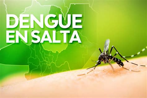 Noticia Epidemiolog A Notific Nuevos Casos De Dengue En Salta