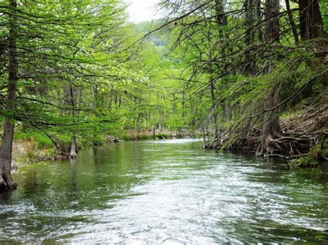 Select Three Ways Riparian Zones Are Damaged