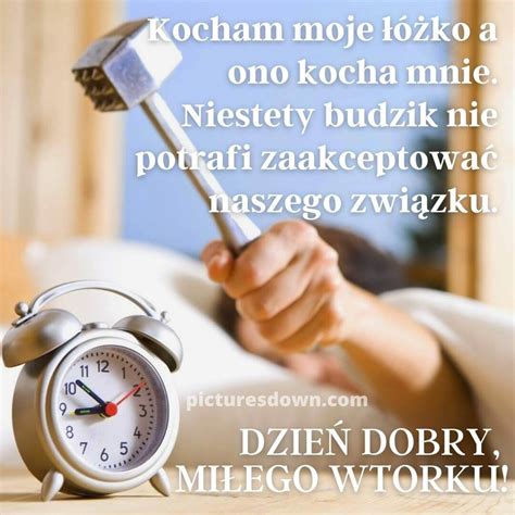 Kartka dzień dobry we wtorek śmieszne alarm za darmo