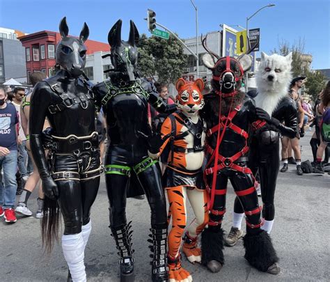 Fursuit Porn Nsfw