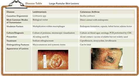 Pustular Skin Lesions