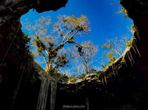 Restaurante en Cenote Santa Bárbara Homún Descubro