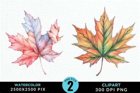 Watercolor Fall Leaves Design Clipart