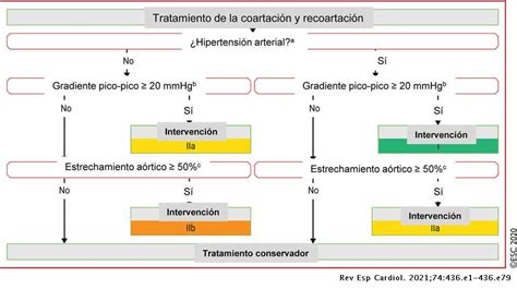 Guía Esc 2020 Para El Tratamiento De Las Cardiopatías Congénitas Del