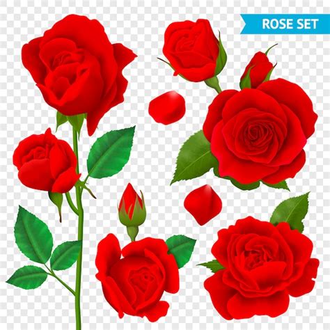 Roses Images Free 3d Infoupdate Org