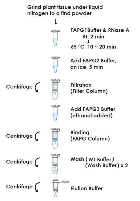 株式会社チヨダサイエンス Favorprep Plant Genomic Dna Extraction Mini Kit