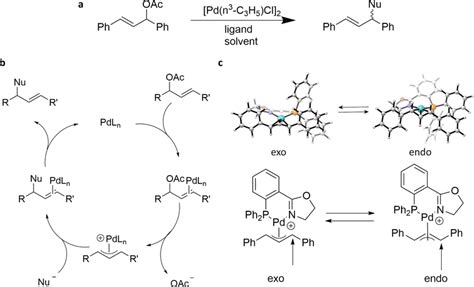 Pd Catalyzed Allylic Amination Reaction A Reaction Modeled For The Tsff