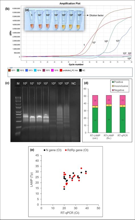 Assay Sensitivity Of A Colorimetric And B Fluorometric RT LAMP