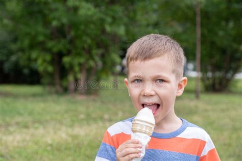 Funny Children Kids Little Boys Eating Ice Cream Stock Image - Image of ...