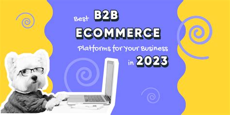 Best B2b Ecommerce Platforms 2023 Ecommerce Development