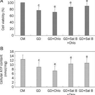 Sal B Enhanced Cell Viability And Cellular Atp Content Of Starving