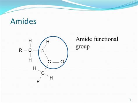 Amide Functional Group