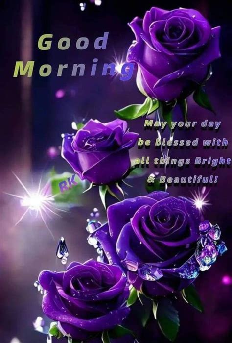 Best Good Morning Purple Flower Photo - Good Morning Pictures ...