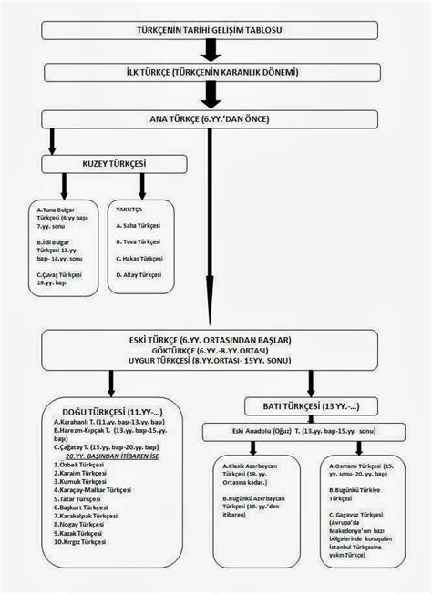 T Rk Dilinin Tarihi Geli Imi Ve T Rkiye T Rk Esi S N F Dil Ve