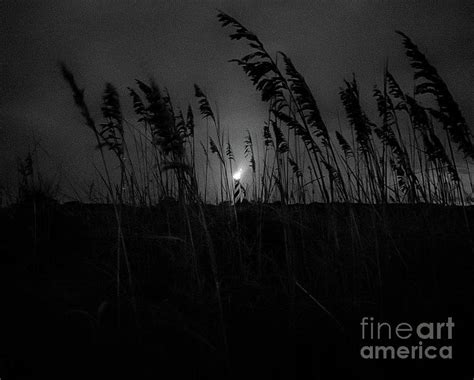 Lighthouse in Rodanthe Photograph by Heidi Strates - Fine Art America