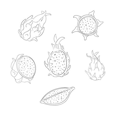 Premium Vector Dragon Fruits Whole And Sliced Outline Illustrations Set