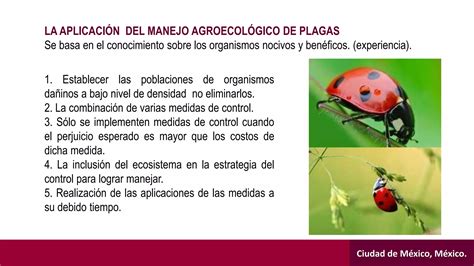 Manejo Agroecologico De Plagas PPT