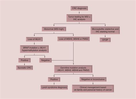 Suggested Algorithm For Molecular And Genetic Testing For Lynch