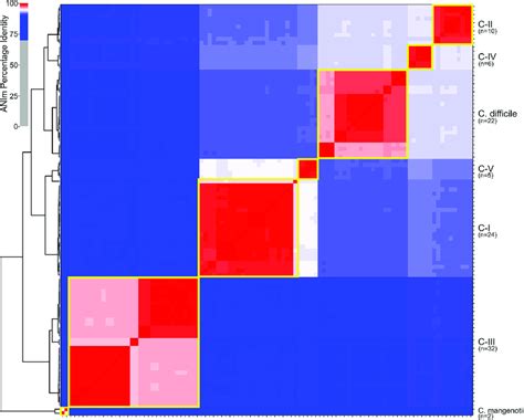 Heat Map And Clustering Of Genomes Based Upon Pairwise ANI Values ANIm