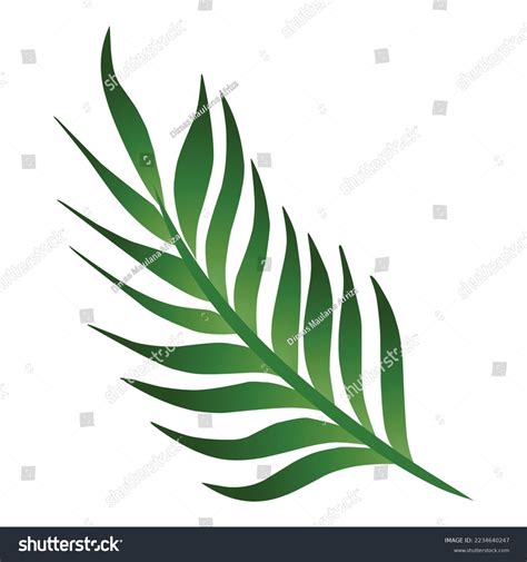 3334 Green Fern Logo Images Stock Photos 3d Objects And Vectors