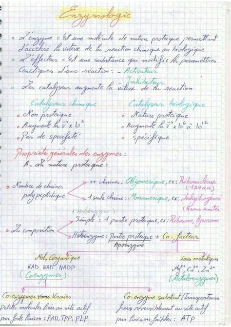 SOLUTION Enzymologie Resume Biologie Moleculaire Notes De Cours