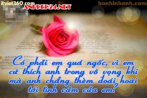 Kho Anh Gai Mac Bikini