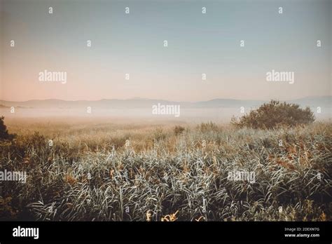 Field at the sunrise Stock Photo - Alamy