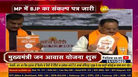 Bjp National President Jp Nadda Releases Sankalp Patra For Mp Assembly