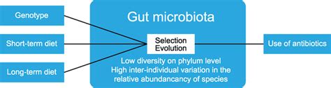 Frontiers Modulation Of Multiple Sclerosis And Its Animal Model