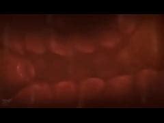 Internal View Of Pussy Vs Cock Free Mobile Porn Videos IPornTV