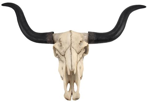 Longhorn Skull - DESIGNER8*