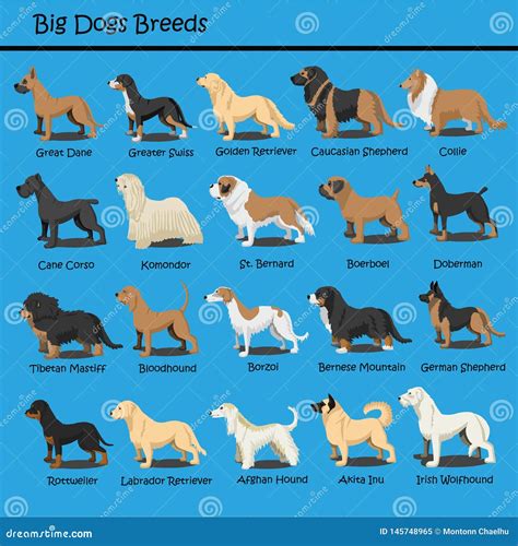 Small Dog Breeds Dog Cute Cartoon Design Vector Puppy Dog Cartoons ...