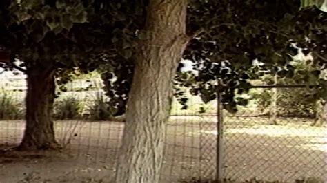 Dr Feelgood Hd In English Porn Feat Barbie Dahl Xhamster