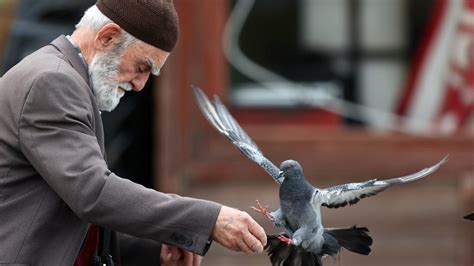 Güvercinleri leblebi ile besliyor TRT Haber Foto Galeri