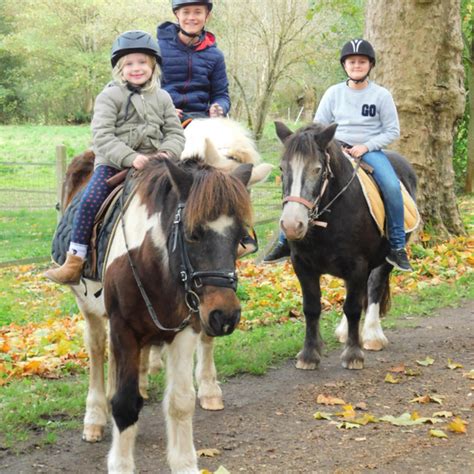 Des Balades Et Des Randonn Es Cheval B Rou La Muloti Re