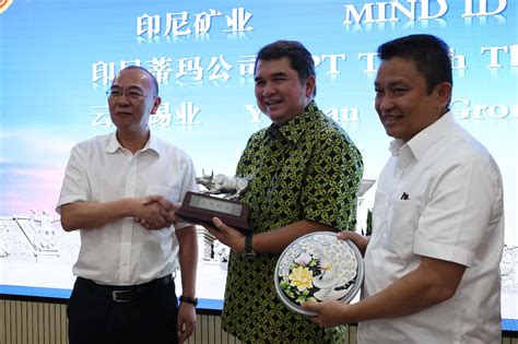 Mind Id Perkuat Posisi Pasar Global Tins Dan Yunnan Tin Jalin Kerja