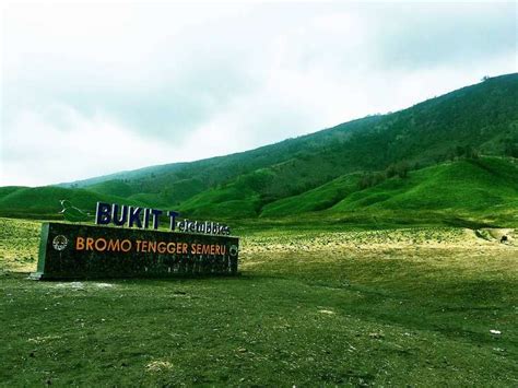 Bukit Teletubbies Bromo Ini Atraksi Dan Htm Terbarunya Wisatakula