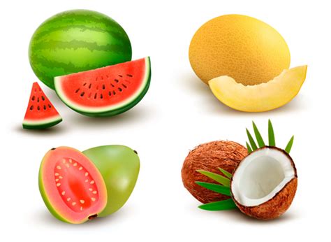 Summer fruit vector free download