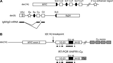 Figure 2 From Structure And Consequences Of Igh Switch Breakpoints In Burkitt Lymphoma