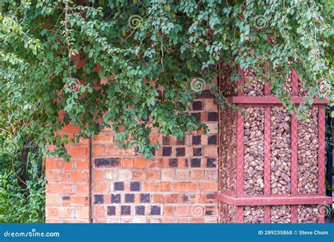 Red Brick Wall and Green Plants in the Garden Stock Photo - Image of ...