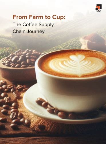 Coffee Supply Chain From Bean To Cup Explained 3SC