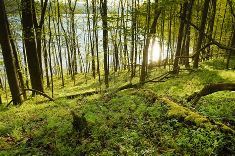 Tappan Lake - Muskingum Watershed Conservancy District