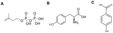 Antioxidants Free Full Text Antioxidants Of Non Enzymatic Nature