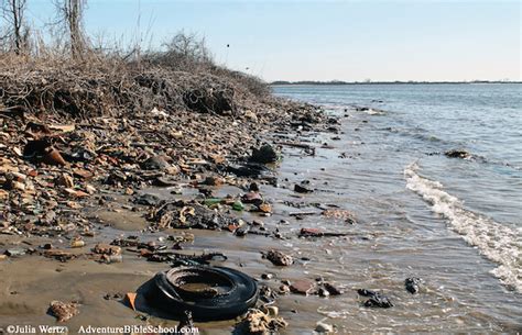 Bottle Beach at Dead Horse Bay – Adventure Bible School