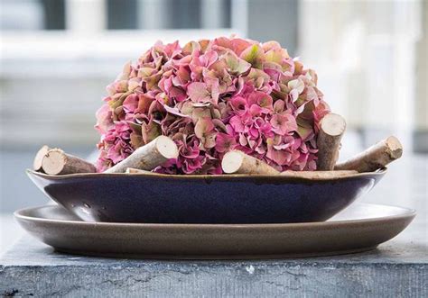 Compositions florales avec des fleurs séchées d hortensia Elle Décoration