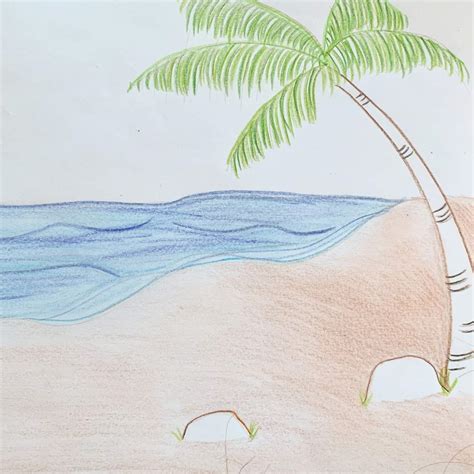 How to Draw a Beach Scene With A Palm Tree - basicdraw.com