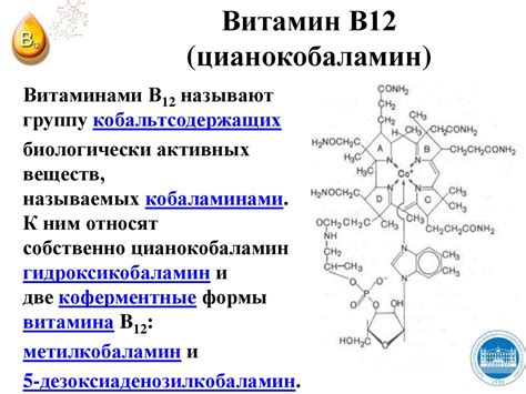 Обмен и функции витаминов В6, В7, В9, В12, С. Лекция №19 - презентация ...