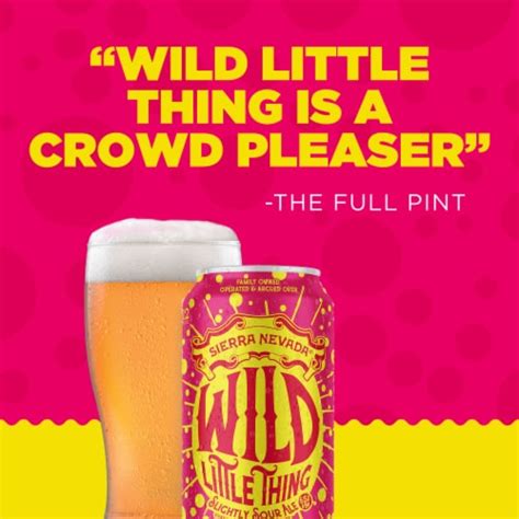 Sierra Nevada Wild Little Thing Slightly Sour Ale Craft Beer, 6 cans ...