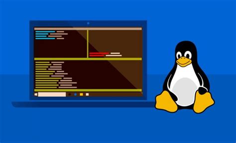 How To Run Linux GUI Apps With WSL2 On Windows The Tech Edvocate