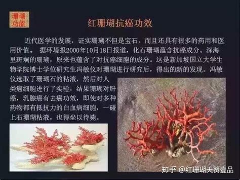 天然红珊瑚的特征和如何辨别及佩戴的好处 知乎